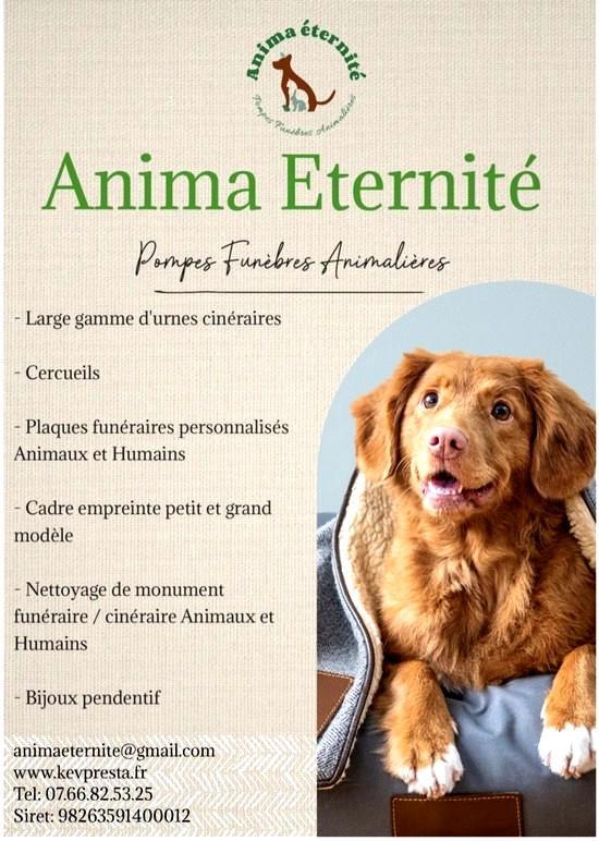 Anima eternite 4