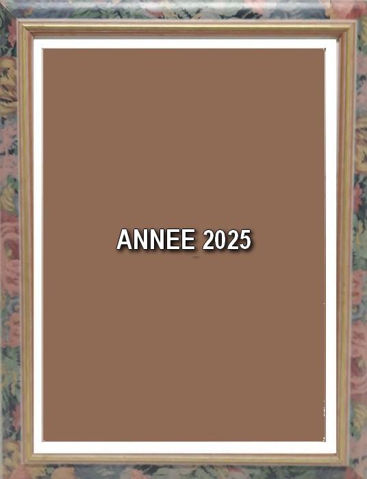 Annee 2025