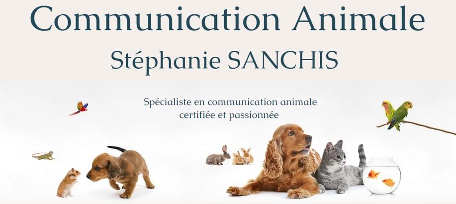 Communication animale