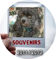 Souvenirs 2011 2014