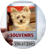 Souvenirs 2014 2016