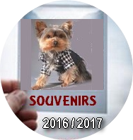 Souvenirs 2016 2018