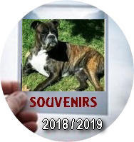 Souvenirs 2018 2020